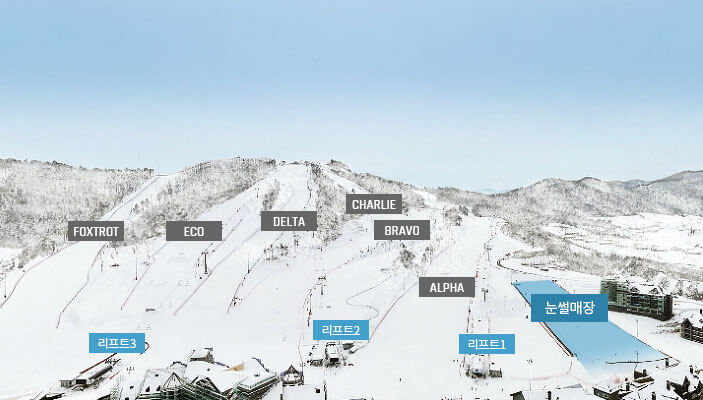 알펜시아 눈썰매장