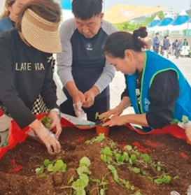 강원n 홍천 산나물축제
