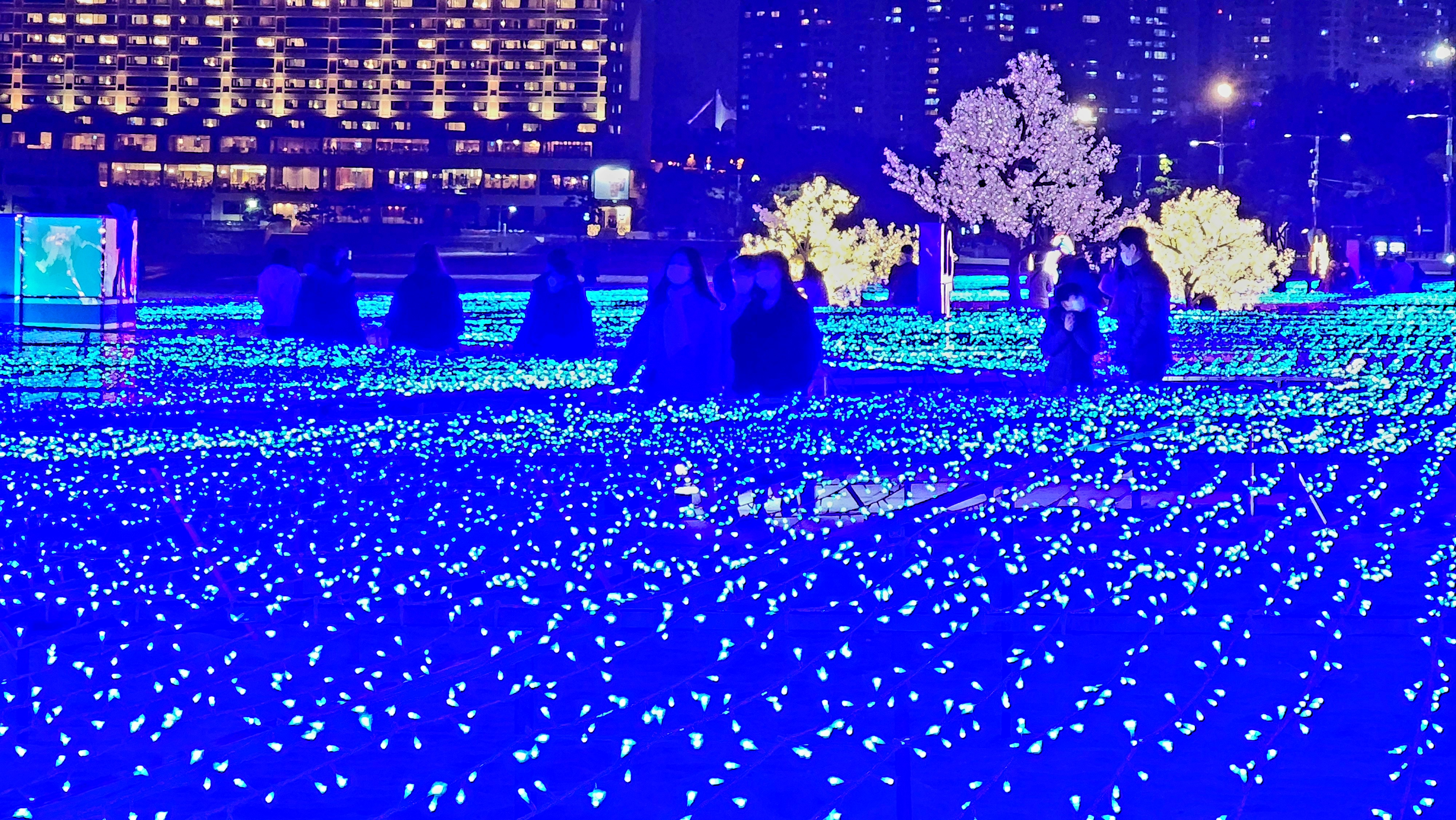 부산 야경 속에서 펼쳐지는 빛 축제 현장, 수많은 LED 조명이 반짝이는 풍경.