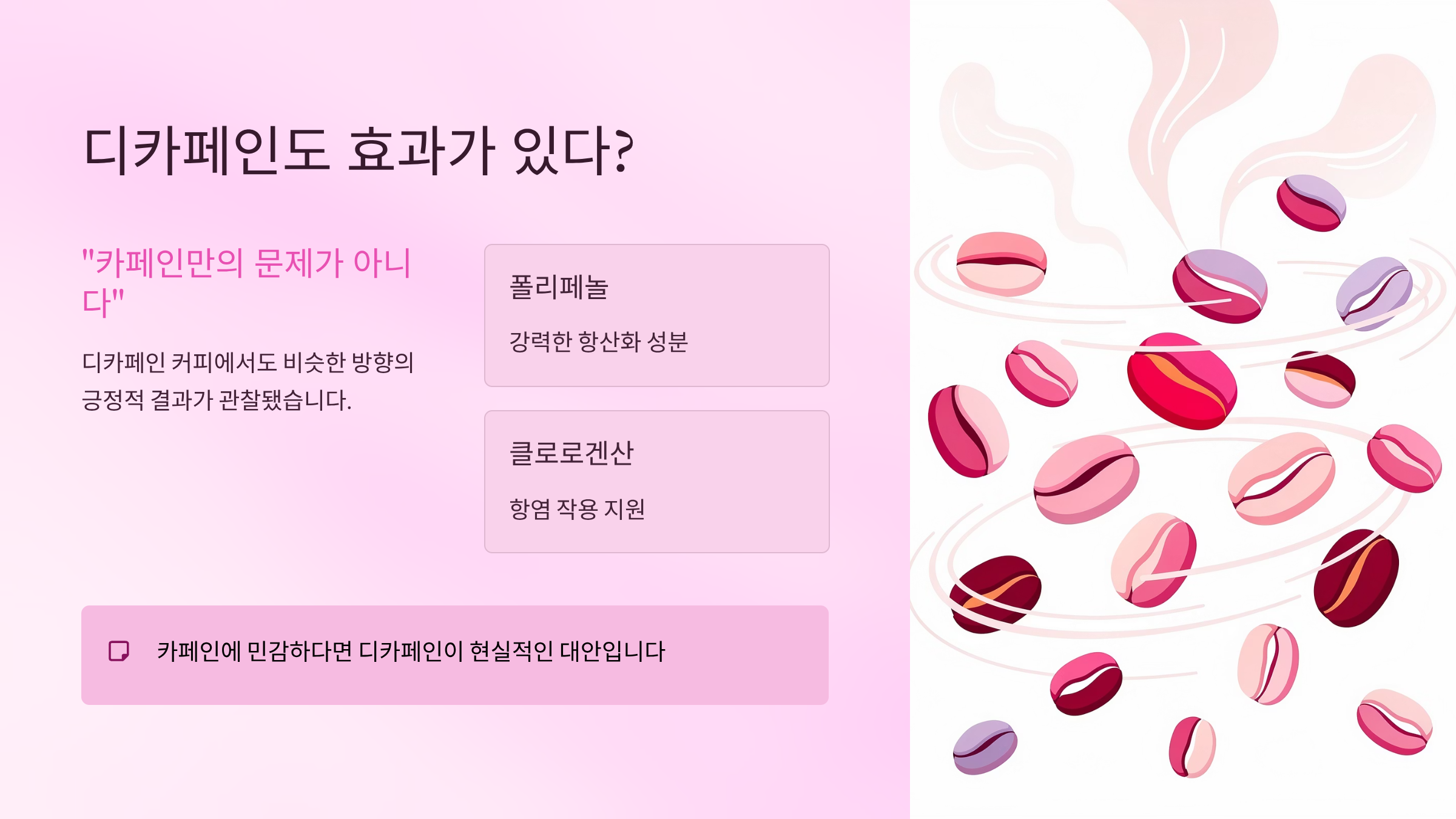 커피 하루 4잔 건강 효과 핵심 가이드