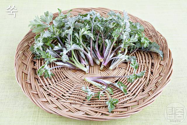 갱년기에 좋은 약초 쑥 부인병에 좋은 약초