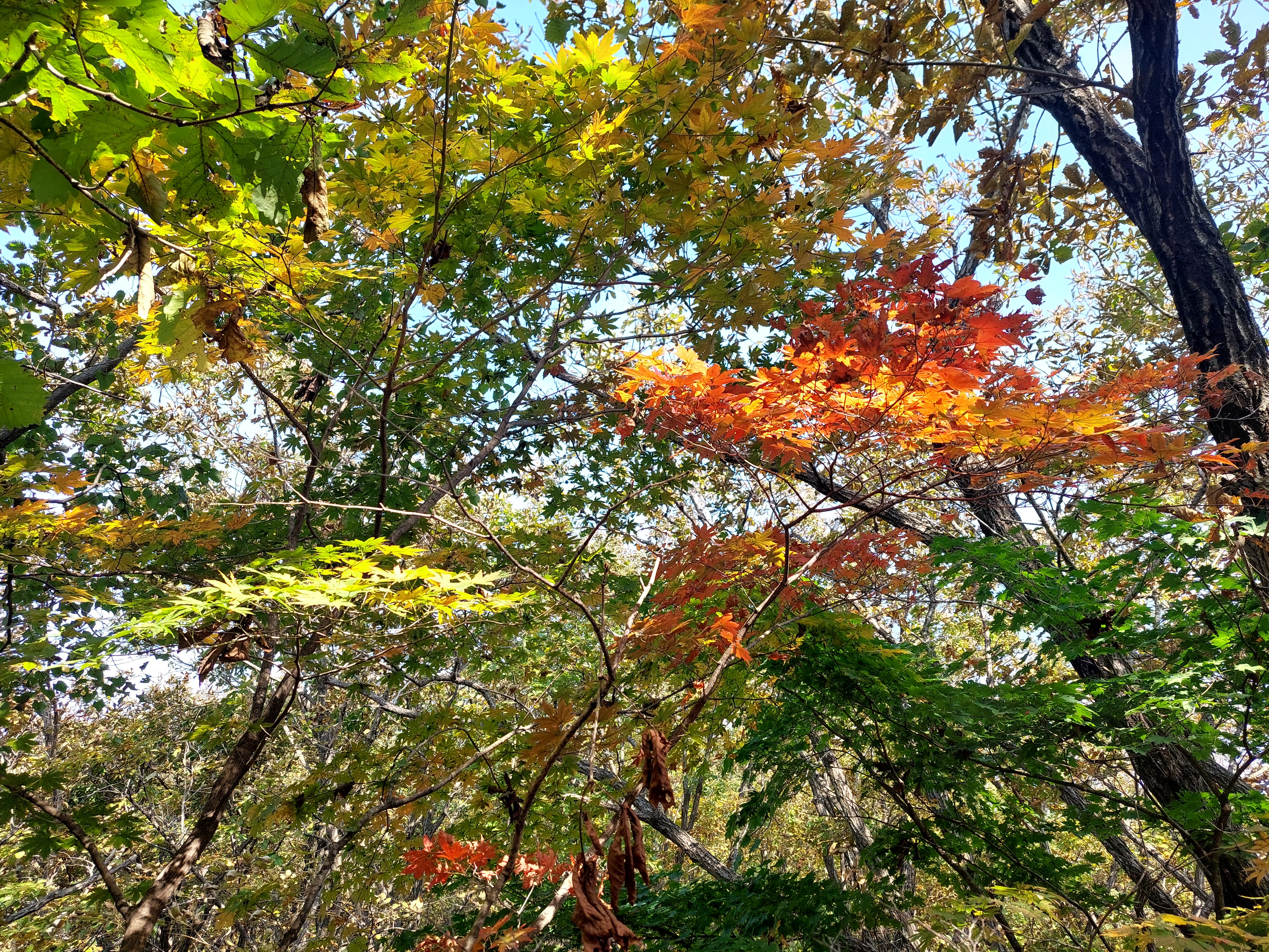 명성산