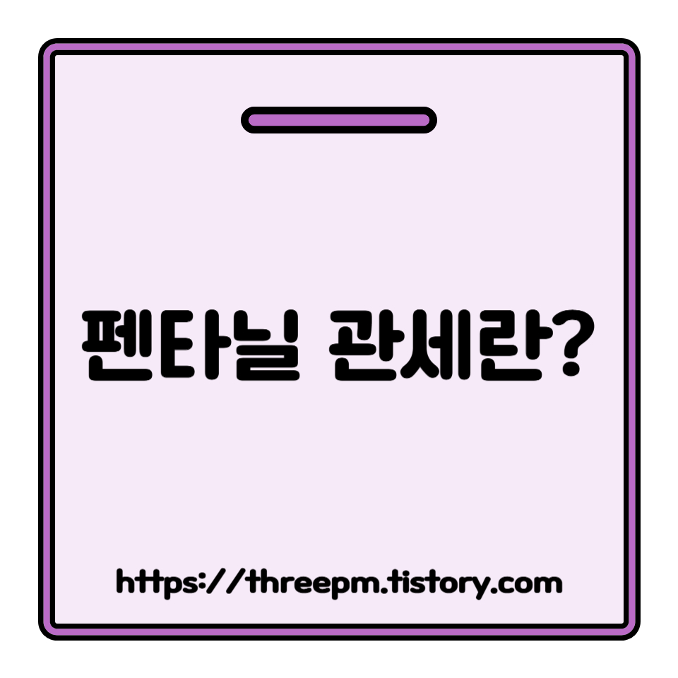 펜타닐 관세: 보건 안보를 위한 관세 전략: 펜타닐 위기에 대한 미국의 강경 대응
