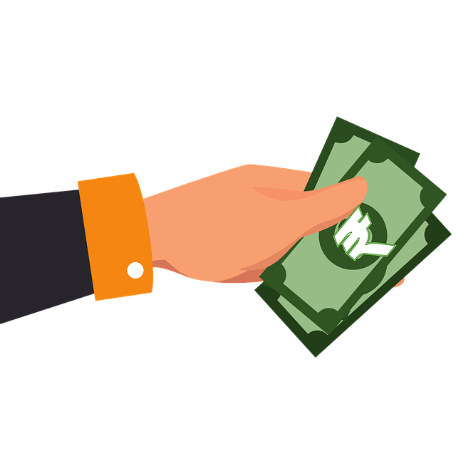 1인가구 대상 정부지원금