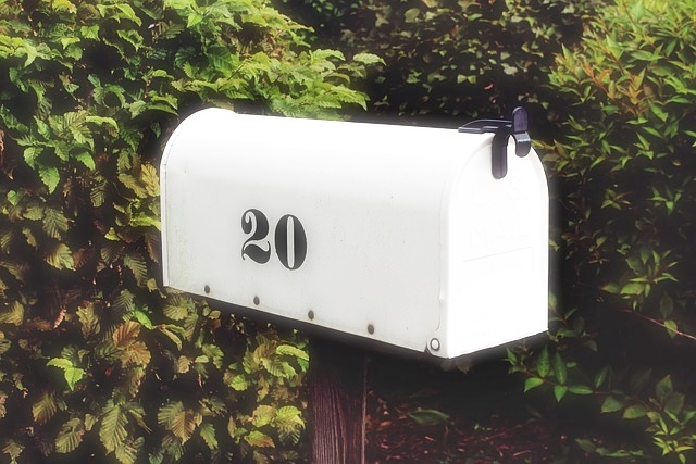 우체국 등기 조회