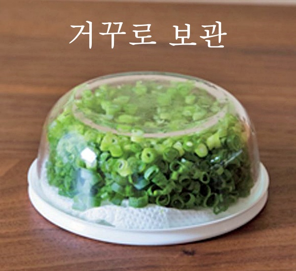 쪽파 보관법 냉장고 실파 보관법