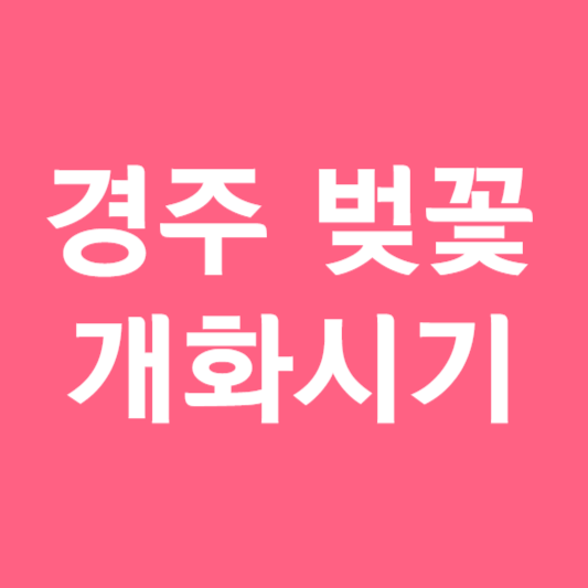 경주 벚꽃 개화시기