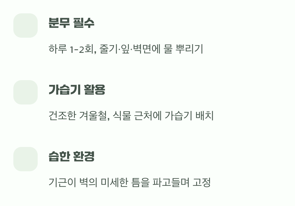 셋째, 가장 중요한 비밀, 공중 습도