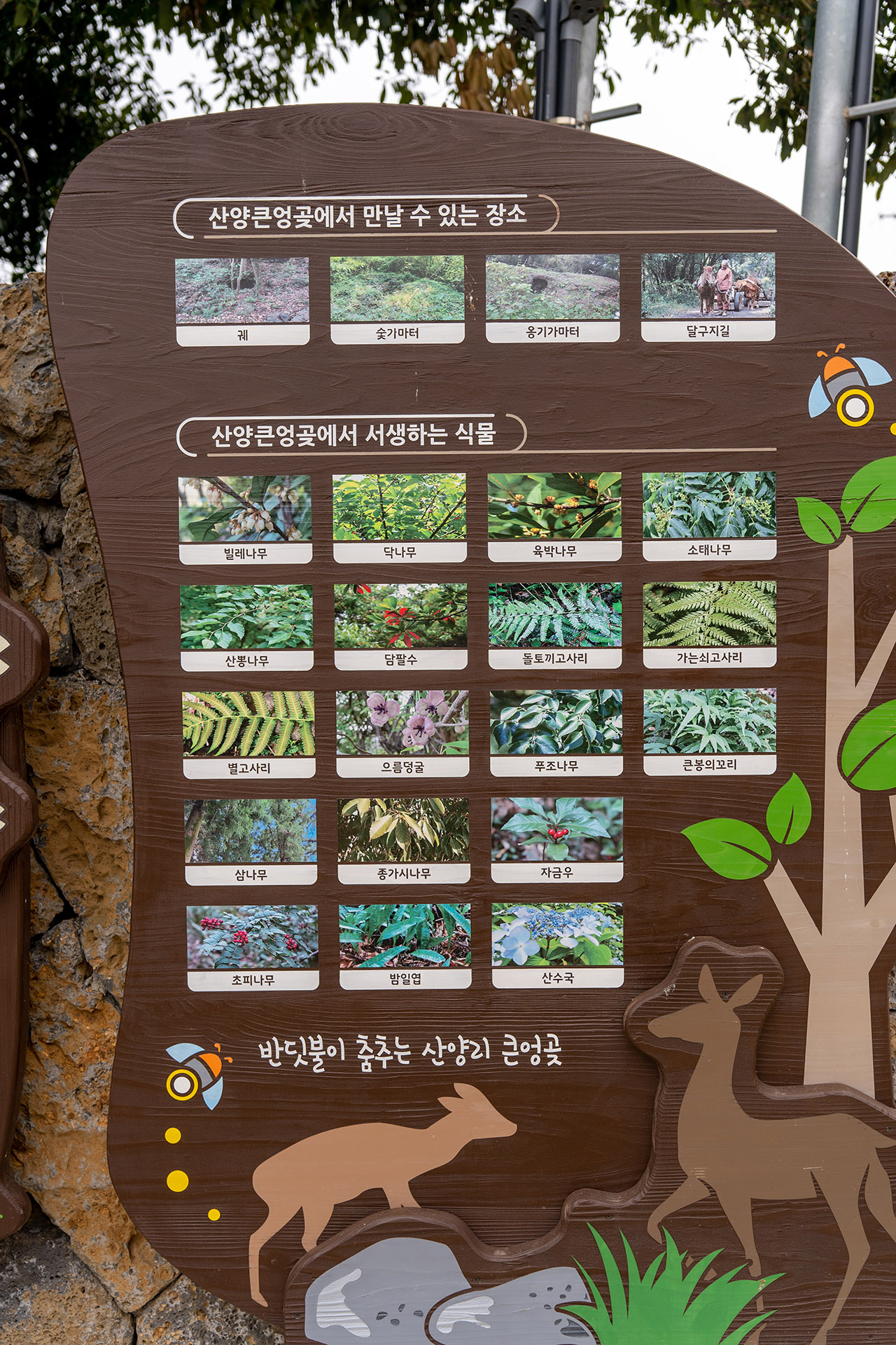 산양큰엉곶(산양곶자왈)