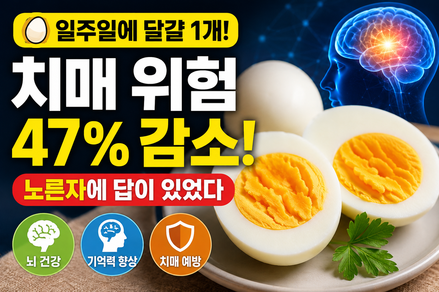 달걀의 효능