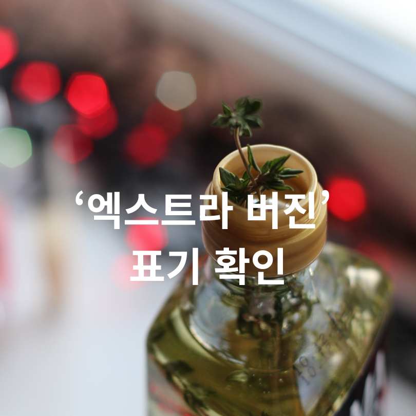 가짜 올리브유 구별법과 진짜 좋은 올리브유 고르는 방법