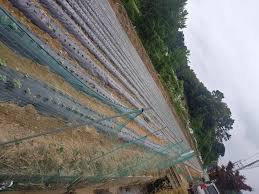 농지연금 가입조건