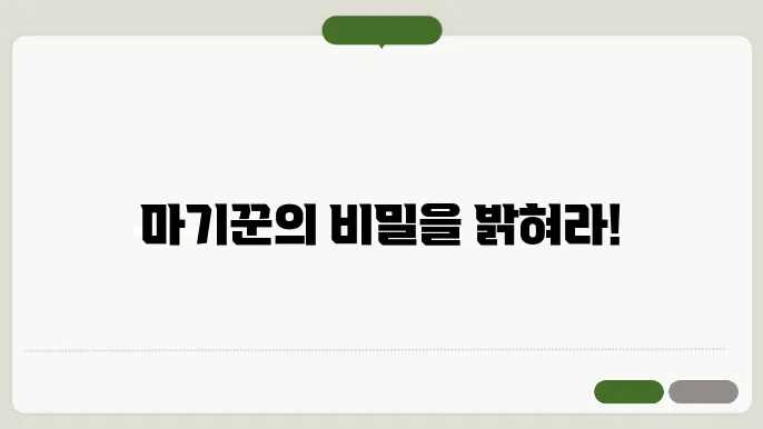 마기꾼 테스트