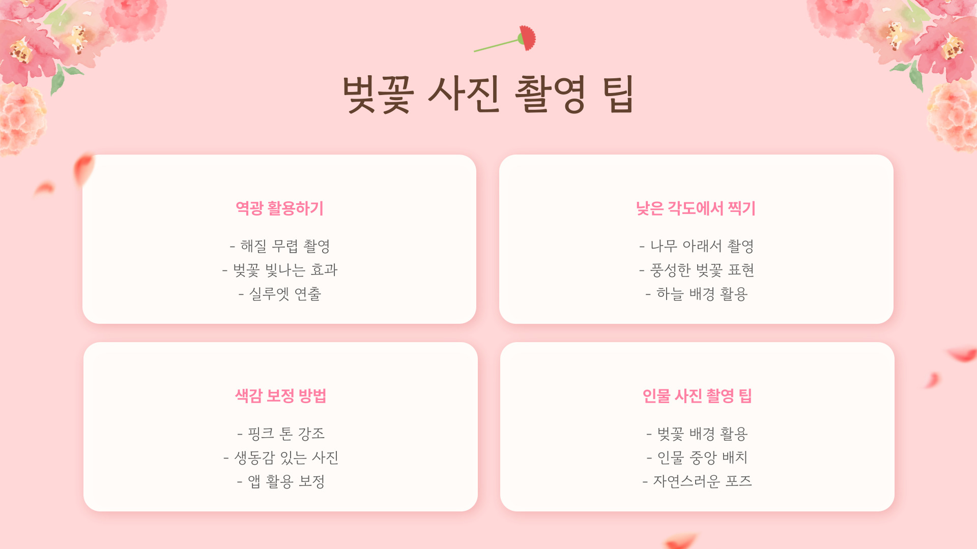 2025년 벚꽃 개화시기