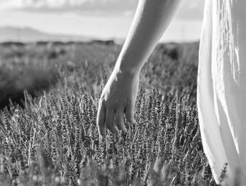 정유일주(丁酉日柱)