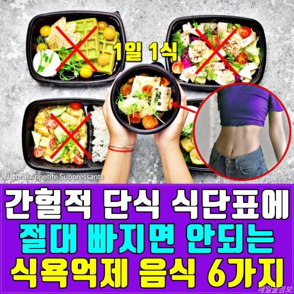 간헐적 단식 식단표 필수 식욕억제 음식,팁줌