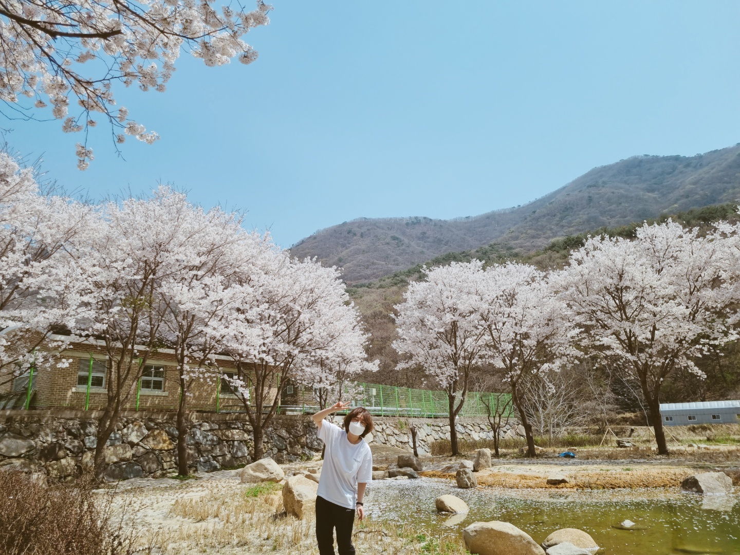 무릉도원