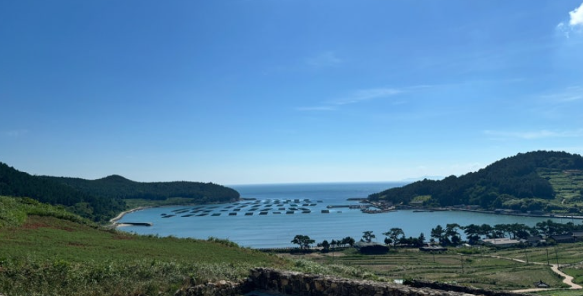 청산도