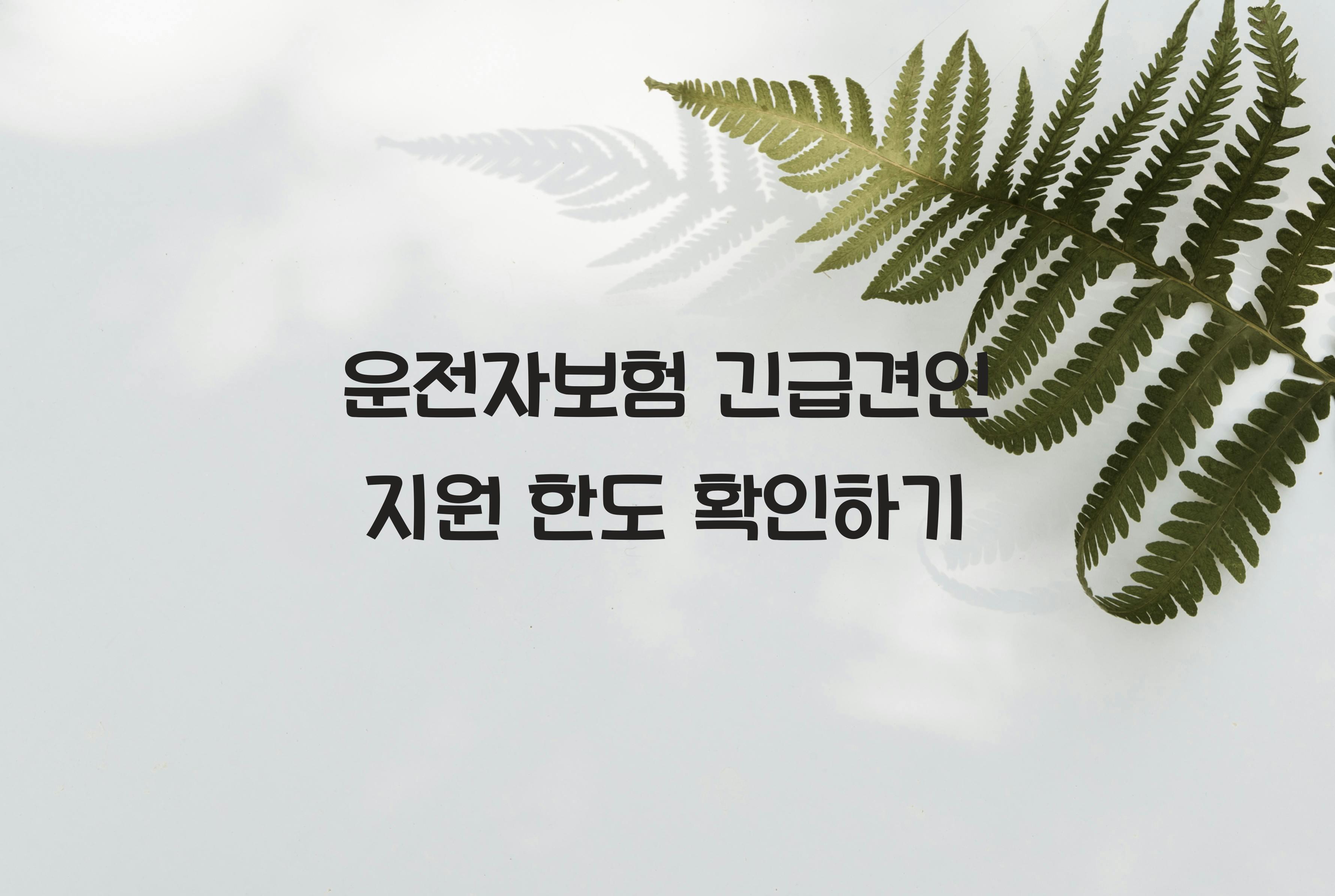 운전자보험 긴급견인 지원 한도