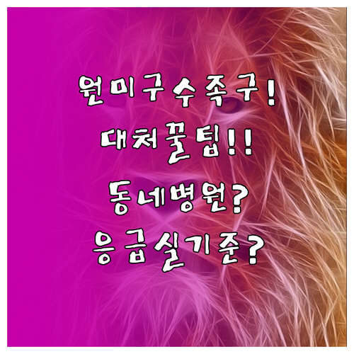 부천 원미구 수족구 대처 방법과 동네..