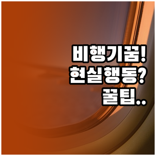 비행기 꿈 꾸면 현실에서 이렇게 행동..