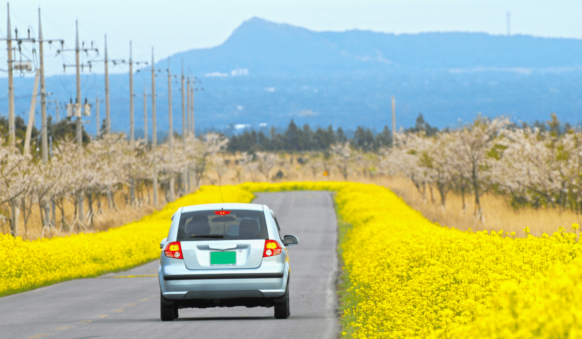 제주_렌트카_요금표_9