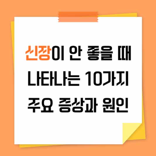 신장이 안 좋을 때 나타나는 10가지 주요 증상과 원인