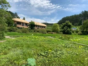 천리포 수목원 목련축제 입장료 여행코스_13