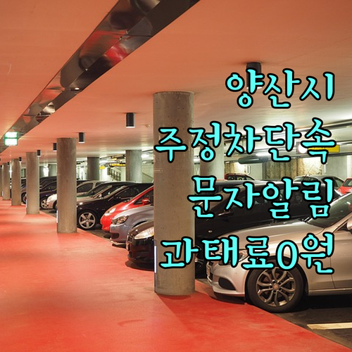 양산시 주정차단속 문자 서비스 신청으..