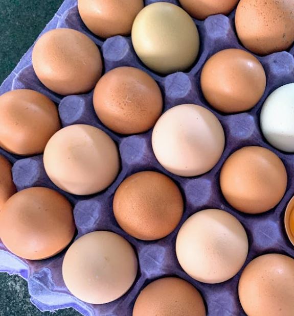 갱년기에 좋은 음식