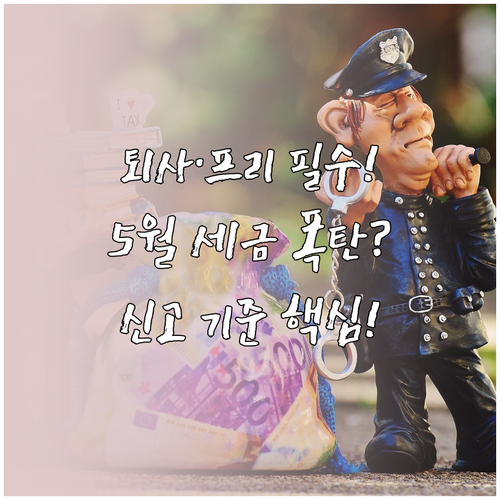 퇴사 후 재취업/프리랜서, 5월 종합..