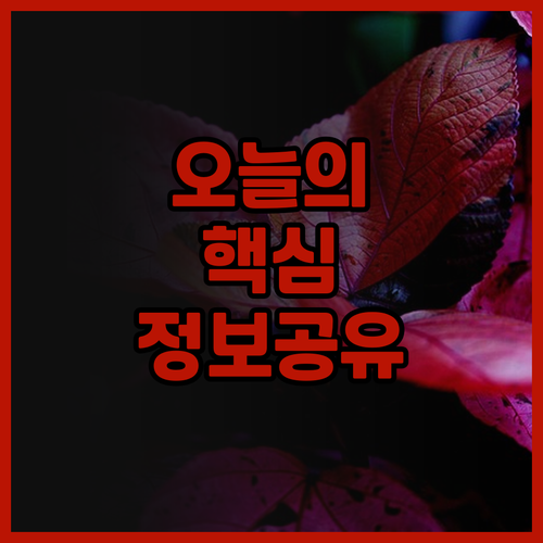 오키나와 나하 호텔 추천 그랜드 캐빈