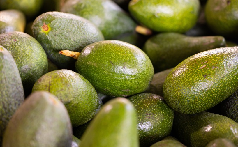 아보카도 부작용|유래|잘익은 아보카도|칼로리|영양소|혈당|권장