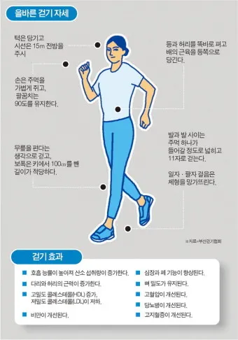 걷기운동 효과 좋은점 놀라운 효능 방법_14