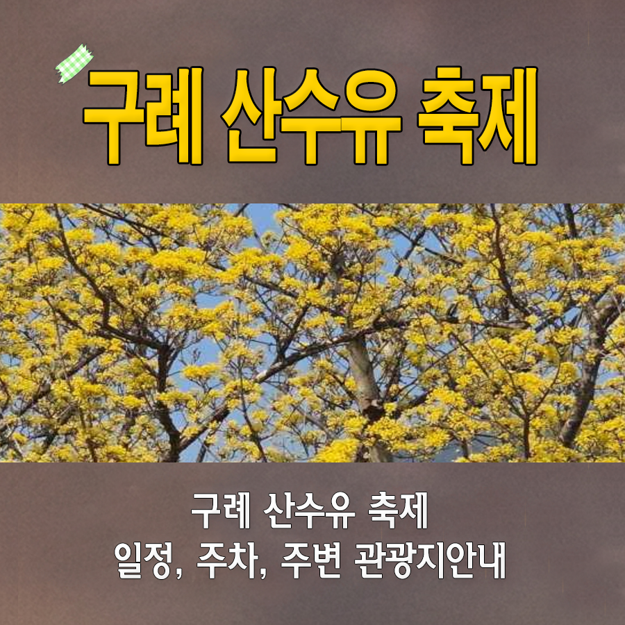 구례 산수유 축제 일정, 주차, 주변 여행지 안내