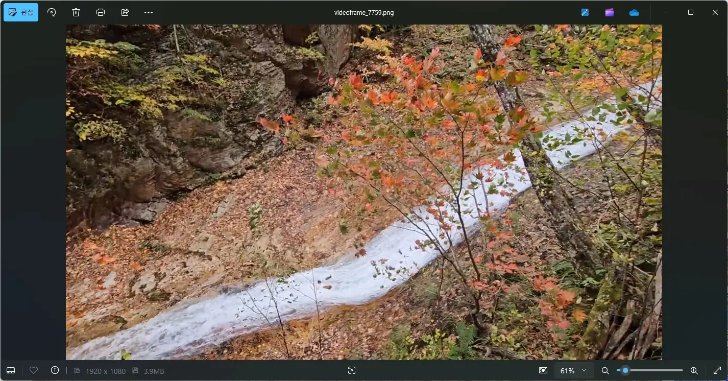 유튜브 동영상 캡처 이미지