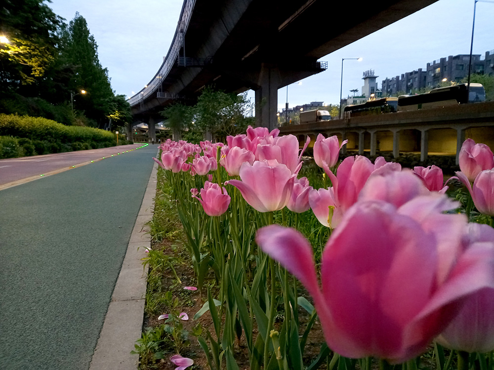 서·삼·구 둘레길 나혼자 한바퀴 걷기챌린지