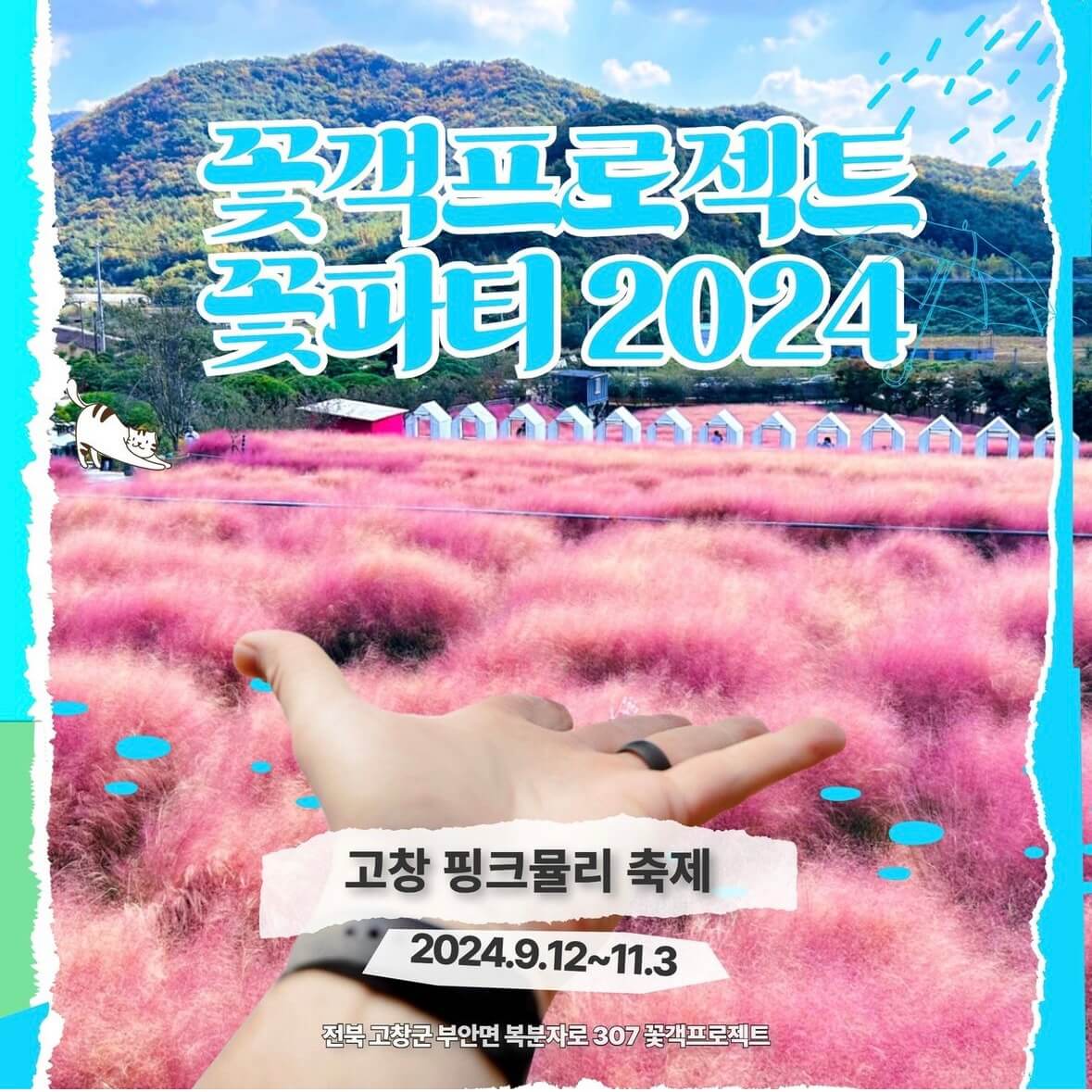 고창 핑크뮬리 축제