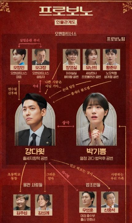 드라마 프로보노 인물관계도, 줄거리, 기획 의도