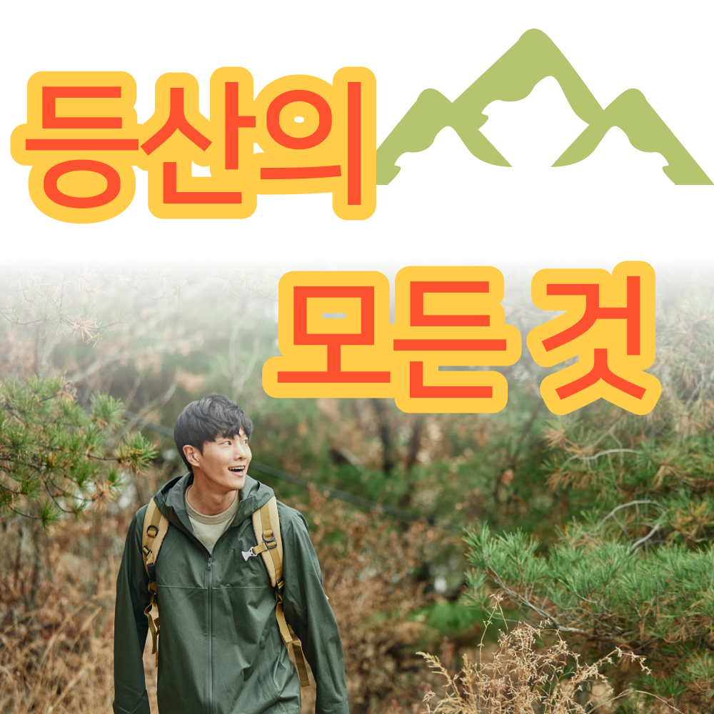 등산의-효과-및-주의사항