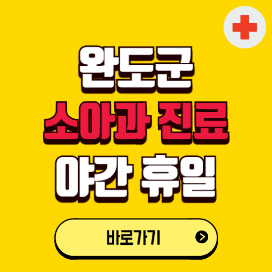 완도군 야간 소아과 진료병원 찾기 ❘ 24시 일요일 주말 연휴 응급진료 추천 잘하는 곳