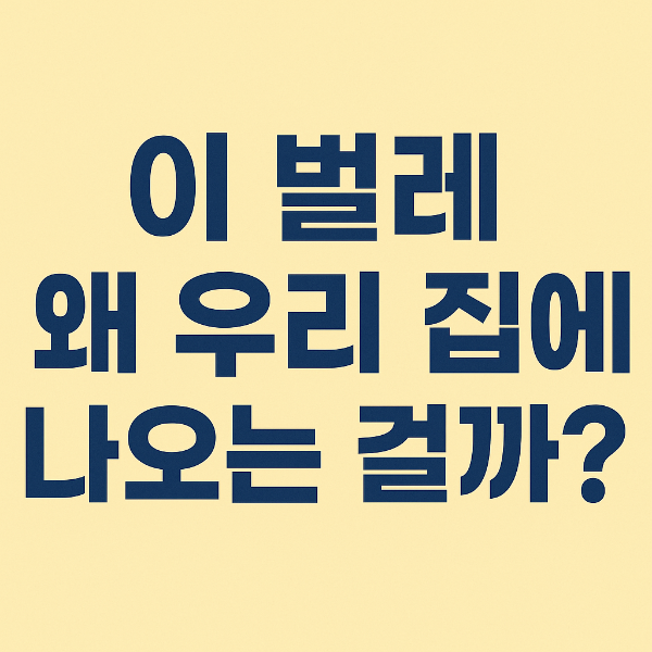 좀벌레가 왜 우리 집에 나오는지 궁금해하는 사람을 표현한 일러스트 썸네일