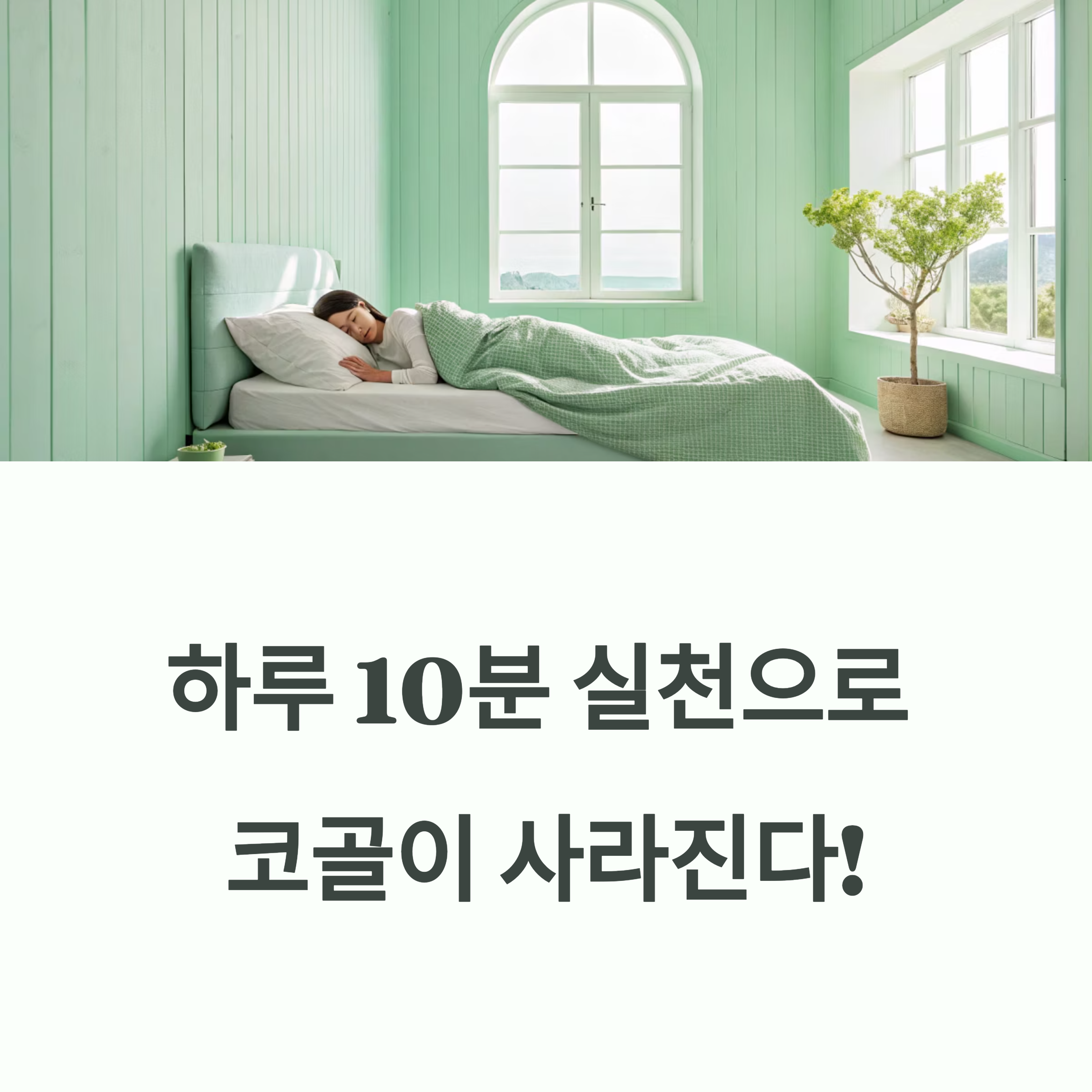 코콜이완화방법1