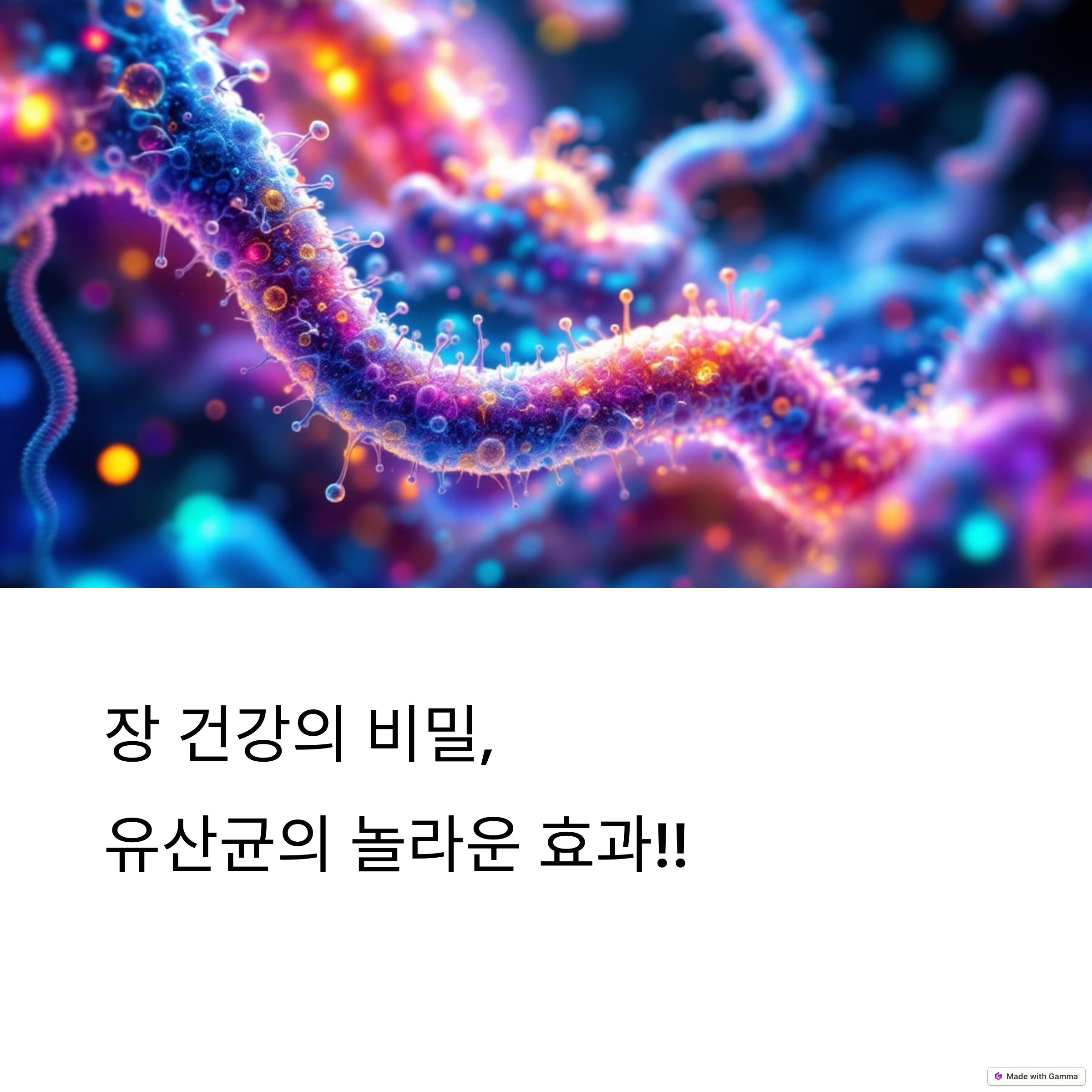 유산균이 장내 미생물에 미치는 영향과 장 건강의 핵심 비밀