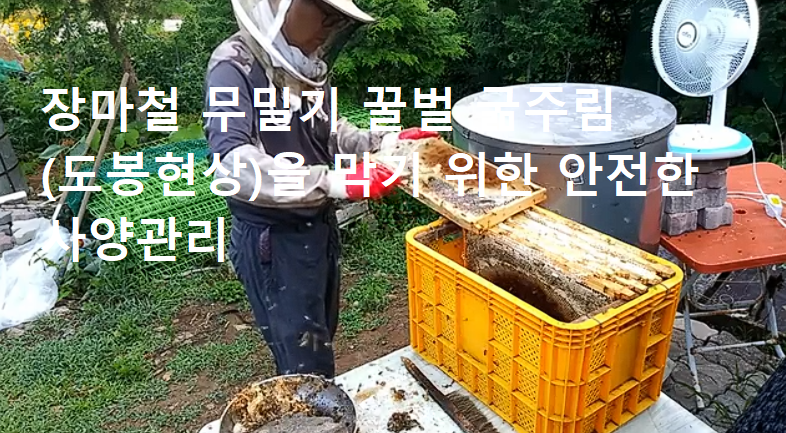 장마철 무밀기 (도봉 예방, 소문 관리, 사양 기록) 안내