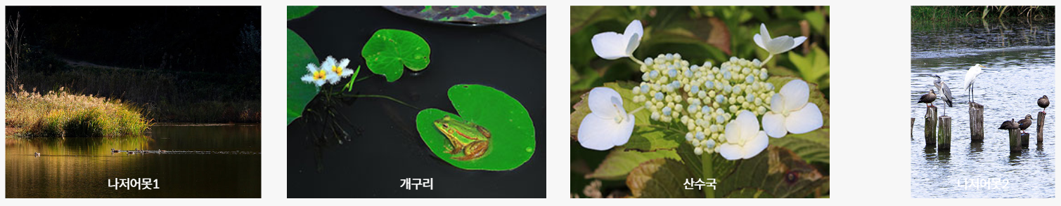 충남 서천 국립생태원 에코리움: 세계 5대 기후 체험과 주요 전시관, 백패커 방문