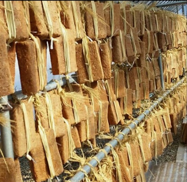 해남-두부장-이승희-