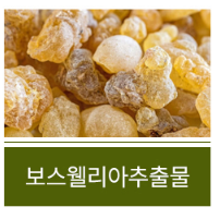 손가락 마디 무릎 통증 관절염 증상11