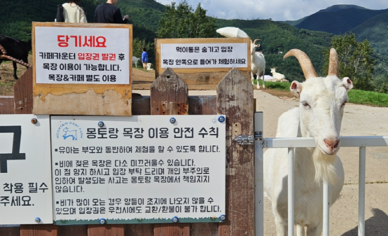 몽토랑 산양목장