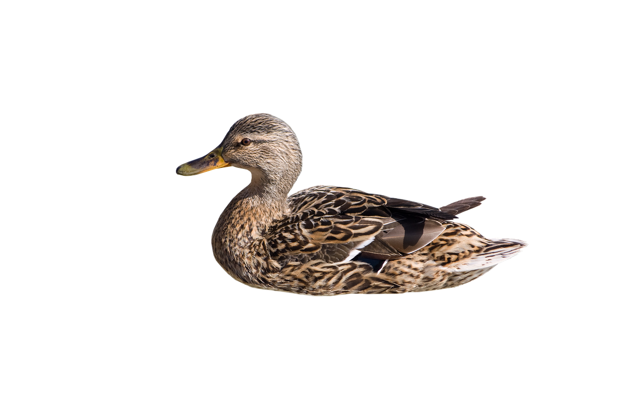 6.27 부동산 대책 대출규제